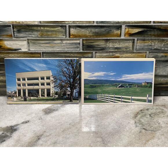 Vintage Postcard Lot Montgomery County Courthouse & Blacksburg Pasture Virginia - Picture 1 of 5